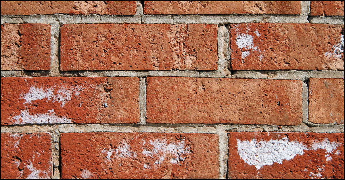 What is Efflorescence and Why Does It Appear on Masonry?