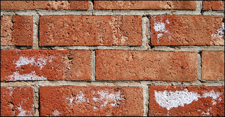 What is Efflorescence and Why Does It Appear on Masonry?