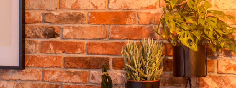 home office brick wall with plants